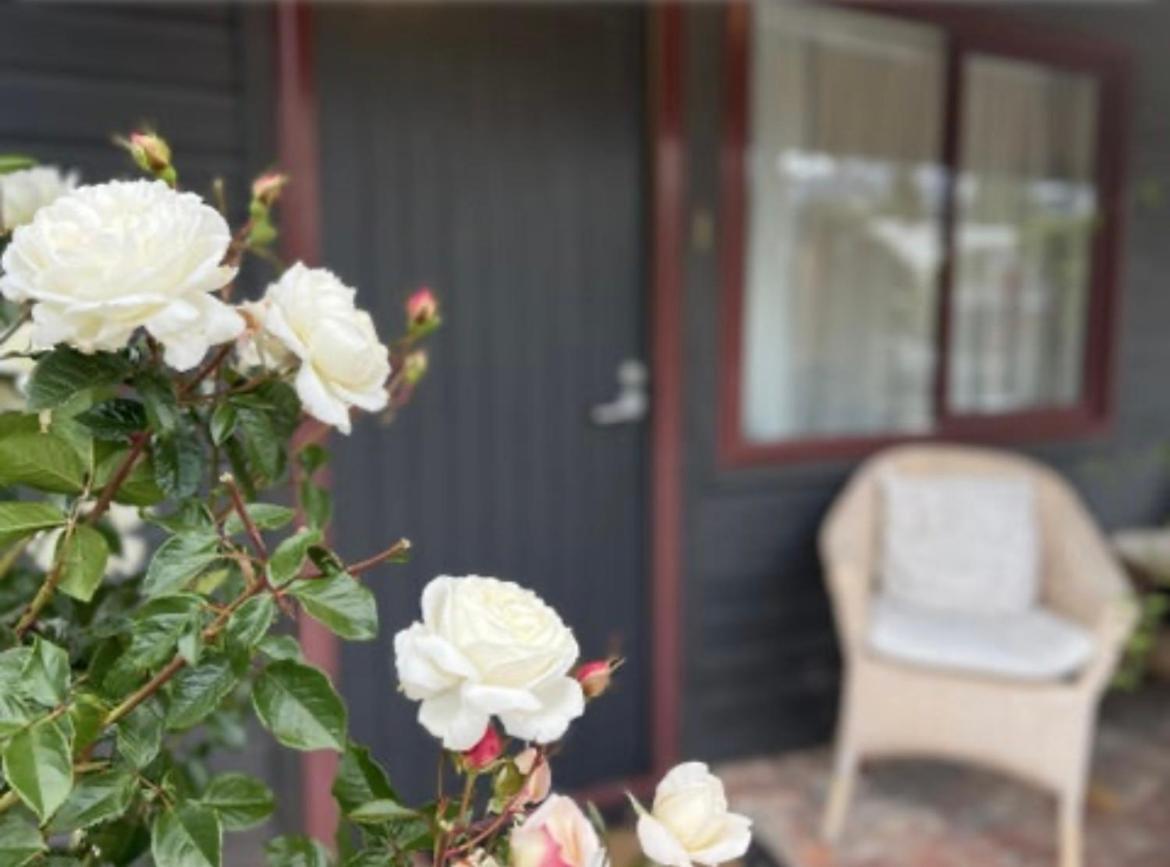 #2 Glenorchy Alpine Suite Εξωτερικό φωτογραφία